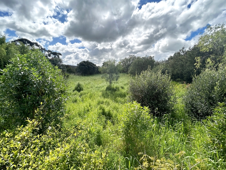 0 Bedroom Property for Sale in Napier Western Cape